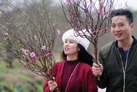 CPI tháng Tết khó có khả năng bất thường