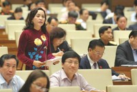 Đại biểu Quốc hội đề xuất tổng kết, đánh giá ngay chính sách tích tụ ruộng đất