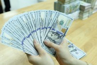 Hơn 1 tuần qua, tỷ giá USD/VND tăng khoảng 1%