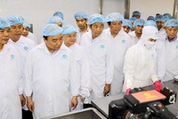 Thủ tướng Chính phủ Nguyễn Xuân Phúc đến thăm nhà máy chế biến tôm của CTCP Tập đoàn Thủy sản Minh Phú
