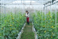 Nguồn vốn tín dụng góp phần đắc lực hỗ trợ chuyển đổi cơ cấu sản phẩm nông nghiệp