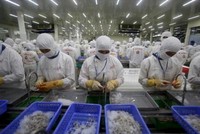DOC thay đổi cách tính thuế với tôm Việt Nam. Ảnh: Reuters