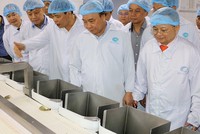 MPC đạt 557,6 tỷ đồng lợi nhuận trong 10 tháng