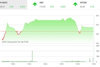 Phiên chiều 20/12: VNM hụt chân, VN-Index đuối sức