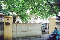 Vinamed: Cổ đông lớn phủ quyết lên sàn