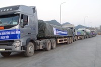 Những chuyến xe đưa xi măng Bỉm Sơn tới các công trình xây dựng.