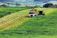 Doanh nghiệp đầu tư vào nông nghiệp, nông thôn sẽ được hưởng nhiều chính sách khuyến khích