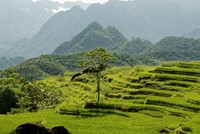 Pù Luông: Lặng lẽ chốn bình yên