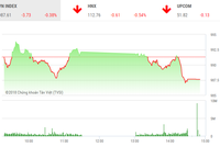 Phiên chiều 17/9: VNM và TCB không cứu nổi thị trường