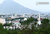 Phú Yên chuẩn bị “tổ” chờ những con sếu lớn