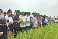 Cải thiện chính sách thu hút đầu tư vào nông nghiệp, nông thôn