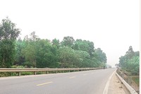 Dự án này có chiều dài tuyến là 7,5 km, điểm đầu giao với Quốc lộ 46, huyện Nghi Lộc và điểm cuối giao với Tỉnh lộ 535 thị xã Cửa Lò (nối với tỉnh Hà Tĩnh qua cầu Cửa Hội). Ảnh minh họa