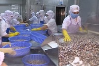 Với việc mở cửa thêm 03 loại thủy sản, đã có 48 loài thủy sản các loại của Việt Nam được Trung Quốc cập nhật vào Danh mục các sản phẩm thủy sản của Việt Nam được phép xuất khẩu vào Trung Quốc để làm thực phẩm.