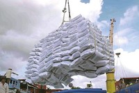 Việc xuất khẩu gạo cần phải xem xét kỹ lưỡng, thận trọng