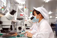 TP.HCM: Khu vực kinh tế có vốn nước ngoài duy trì đà tăng trưởng kim ngạch xuất, nhập khẩu