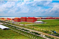 Coteccons ký thêm nhiều gói thầu, trị giá hơn 376 tỷ đồng