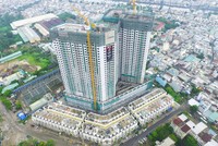 Vừa qua, Công ty Ricons thực hiện cất nóc thành công Dự án The Pegasuite (quận 8, TP.HCM) theo đúng cam kết về chất lượng, an toàn và tiến độ cùng chủ đầu tư