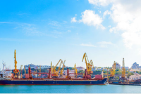 VRC đã được cấp Giấy chứng nhận quyền sử dụng đất 50 ha Cảng Mỹ Xuân