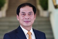 Thứ trưởng Bộ Ngoại giao Bùi Thanh Sơn