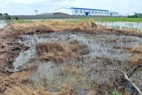 Chỉ có khoảng 66% trong số 289 khu công nghiệp trên cả nước có trạm xử lý nước thải tập trung