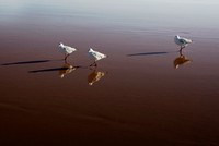 Sự kiện chứng khoán đáng chú ý ngày 29/4