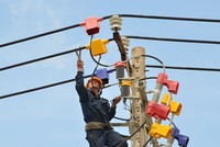 Được bảo lãnh, vốn vay ưu đãi nhưng kinh doanh của EVN không đạt được kỳ vọng.