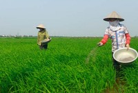 LAS dự kiến phát hành 35 triệu cổ phiếu thưởng