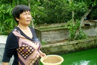 Nữ 'tỷ phú cua đinh' ở miền Tây