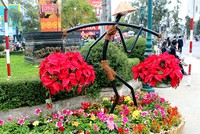 Đà Lạt chi 40 tỷ đồng để tổ chức Festival hoa lần thứ 6. Ảnh: Quốc Dũng.