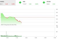 Phiên sáng 7/12: Tiếp tục giảm sâu