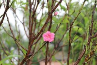 Sự kiện chứng khoán đáng chú ý ngày 30/1