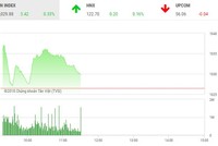 Phiên sáng 4/5: Nhà đầu tư dè dặt xuống tiền