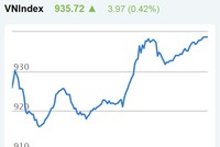 Phiên sáng 29/5: Ồ ạt bắt đáy, thị trường tăng vọt trở lại