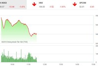 Ảnh: Shutterstock.