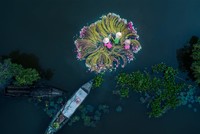 Việt Nam có 3 giải nhiếp ảnh chụp trên không quốc tế