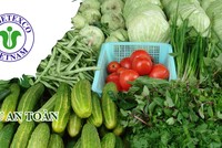 Vi phạm hàng loạt lỗi, Tổng công ty Rau quả Nông sản (Vegetexco) bị phạt hơn nửa tỷ đồng
