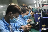 Lĩnh vực sản xuất linh kiện điện tử đóng góp 1.425 tỷ đồng, tương đương 66% tổng cơ cấu doanh thu.