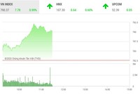 Giao dịch chứng khoán sáng 7/5: Bluechip nâng bước VN-Index lên 790 điểm