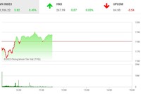 Giao dịch chứng khoán phiên sáng 21/6: Nhóm công ty chứng khoán phục hồi, cặp đôi HAG-HNG khởi sắc