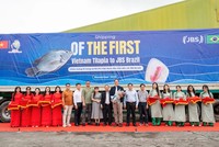 Nam Việt (ANV) xuất khẩu lô hàng đầu tiên sang Brazil - Bước tiến chiến lược của thủy sản Việt Nam