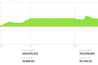 Cổ phiếu VIC tiếp tục dẫn dắt VN-Index tăng điểm trong phiên 28/11