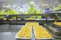 Cải thiện môi trường đầu tư kinh doanh phải đồng bộ từ cơ chế, chính sách, thủ tục hành chính, nền tảng số, đến bảo hộ quyền sở hữu trí tuệ, nhằm khuyến khích khu vực tư nhân phát triển. Ảnh: Đức Thanh.