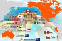 "Có thể nói ít hiệp định nào vất vả như CPTPP trong thực thi"