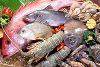 2 tháng, tổng sản lượng thủy sản ước đạt 767.000 tấn