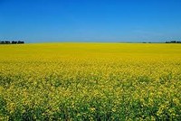 Sự kiện chứng khoán đáng chú ý ngày 4/11