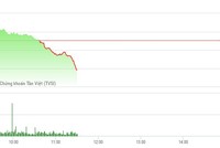 Phiên sáng 12/4: PDR tiếp tục bứt phá, VN-Index quay đầu giảm mạnh