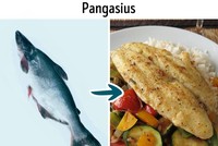 9 loại cá quen thuộc nhưng không nên ăn quá nhiều