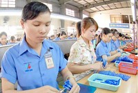 Tập đoàn Thiên Long (TLG) nới room ngoại lên tối đa 100%