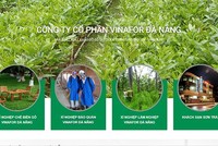 Vinafor Đà Nẵng bị phạt 60 triệu đồng