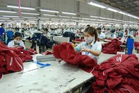 11 tháng, TNG lãi ròng hơn 107 tỷ đồng, hoàn thành hơn 93% kế hoạch năm